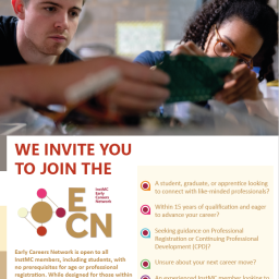 InstMC mentoring scheme